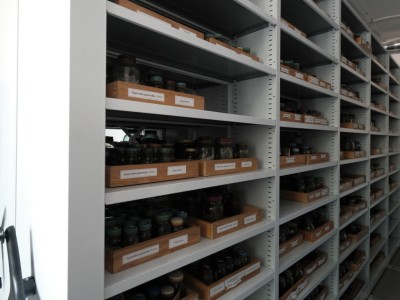 Стеллажи для зоологических коллекций